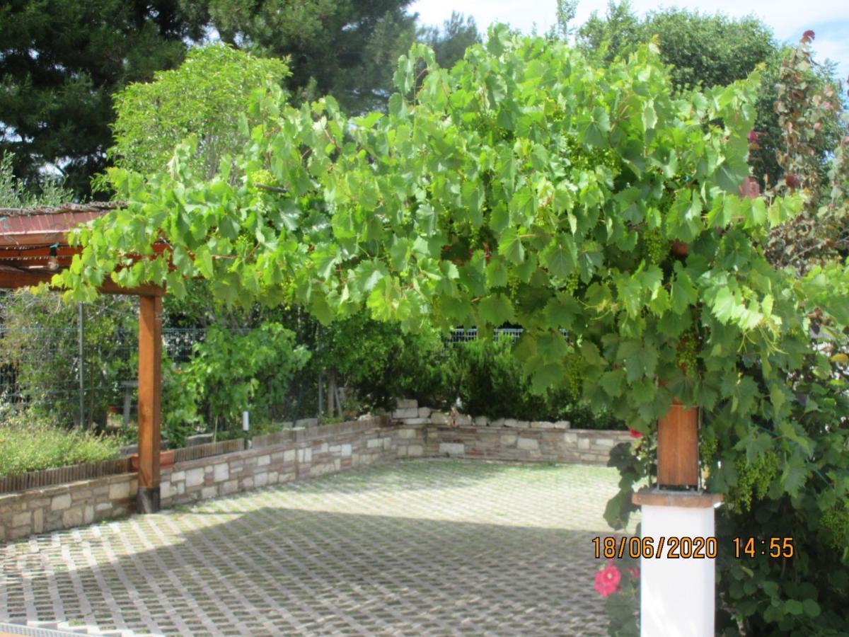 B&B Capo Le Vigne Sirolo Exterior foto
